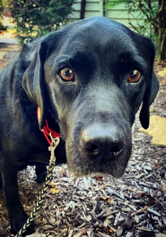 Maggie Mae Pic
